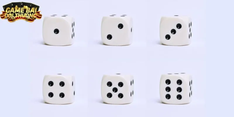 Khám phá vô số ưu đãi dành riêng cho thành viên chơi sicbo