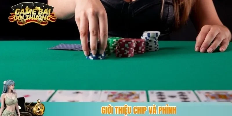 Giới thiệu chip và phỉnh