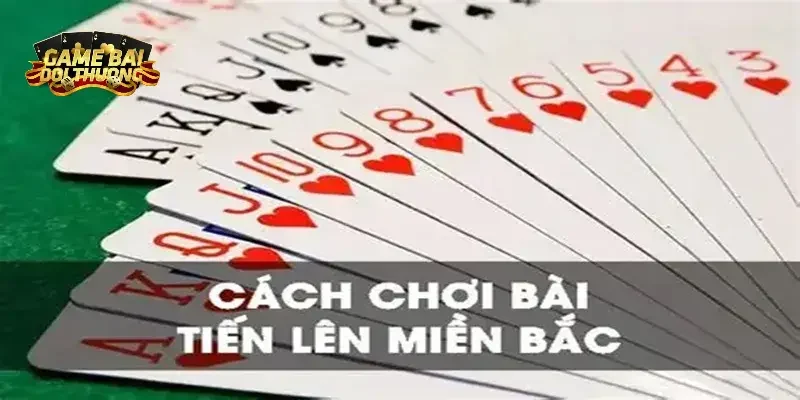Phân biệt rõ hai thể loại game bài sẽ giúp bạn dễ dàng chiến thắng